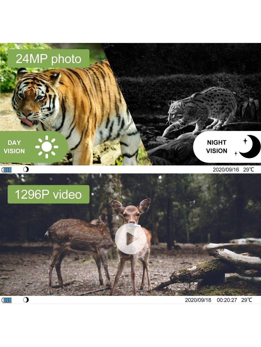 WiMiUS H8 WiFi Trail Camera【2020 Upgraded】 24MP 1296P HD Hunting Game Trail C... - Picture 5 of 11